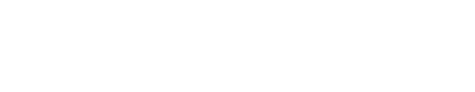 Логотип MEBUS